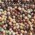 LUNKER PEAS MIX 1KG