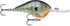 RAPALA DIVE TO SERIES #10 DT10BG