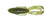 BIGGEN BASS PUNCH BUG WATERMELON SEED
