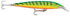 RAPALA FMAG 11FT