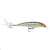 RAPALA X-RAP #4 XR04YP