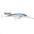 RAPALA X-RAP MAGNUM #10 XRMAG10WHU