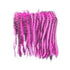 XPLO BARRED RABBIT ZONKERS FL PINK