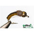 SCIENTIFIC FLY TUNGSTEN CADDIS SELECTION (21)