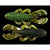 GOOGAN BANDITO BUG SUMMER CRAW GBB-SUM