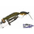 SCIENTIFIC FLY BASS GURGLER VARIOUS 1PKT